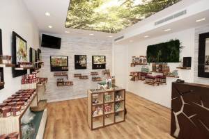 Catherine LEVI - INTERIEUR SINGULIER